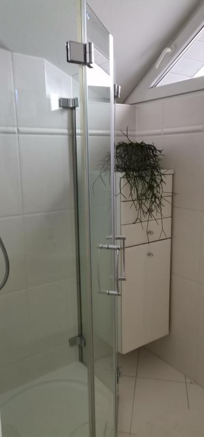 Haus Jastrinsky Appartement Dorfgastein Buitenkant foto